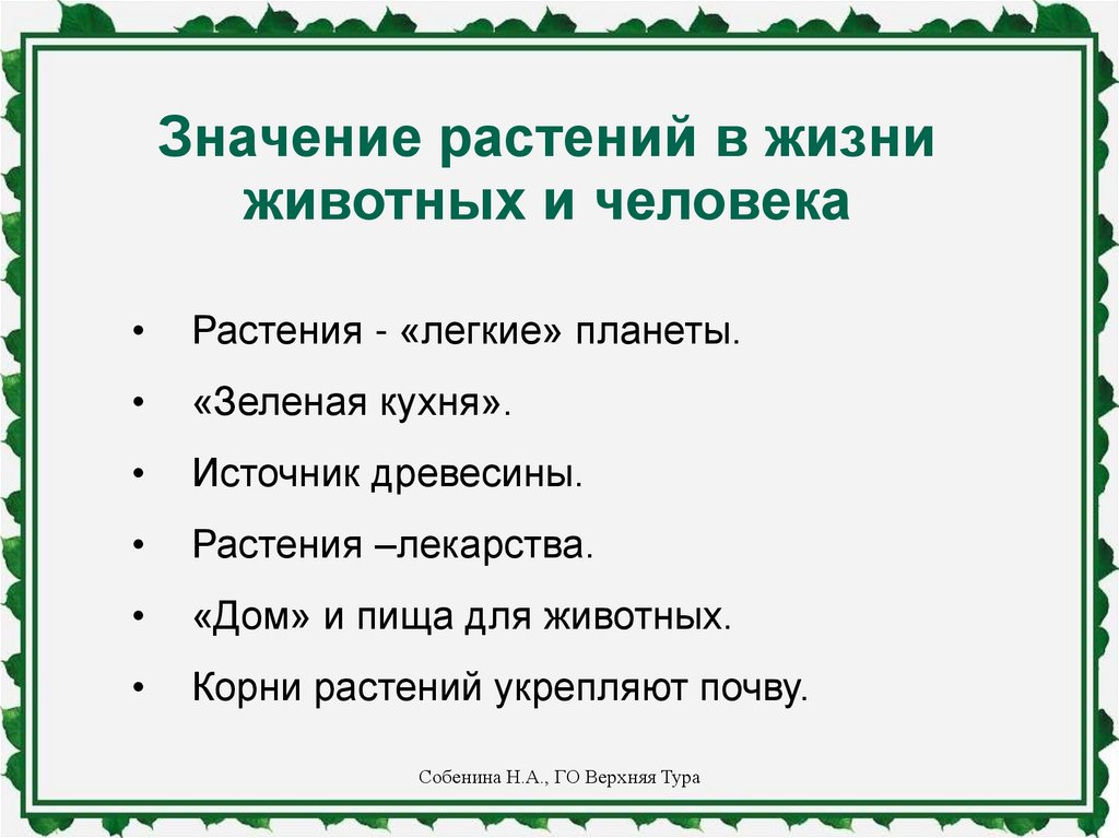 Значение растений в природе и жизни человека план