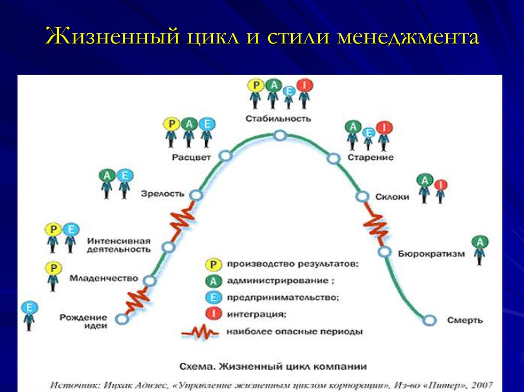 Модели управление жизненного цикла. Модель Адизеса жизненный цикл организации. Кривая Адизеса жизненный цикл. Этапы развития организации Адизес. Стадии жизненного цикла компании по Адизесу.