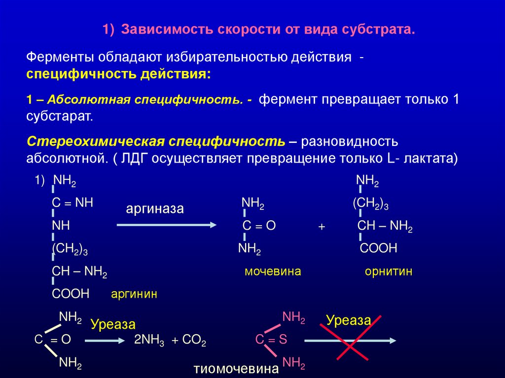 Zn i2. Ферментативные реакции. Кинетика ферментативного катализа. Специфичность ферментативной реакции. Специфичность трансаминаз биохимия.
