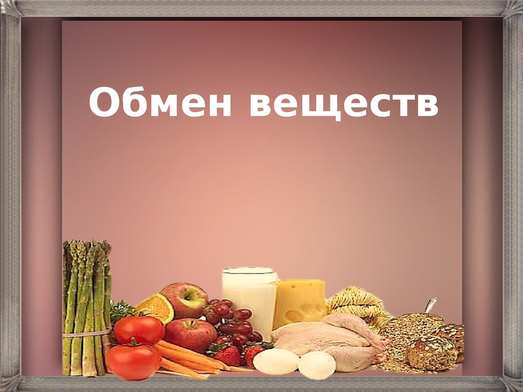 Обмен веществ 2. Обмен веществ. Обмен веществ презентация. Обмен веществ метаболизм. Метаболизм презентация.