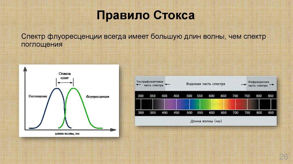 Длина волны спектра формула. Длина волны спектра поглощения. Спектры поглощения пигментов таблица. Флуоресцеин спектр поглощения и флуоресценции. Правило Стокса.