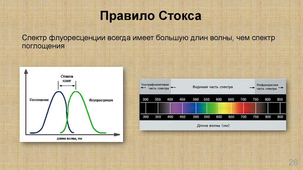 Длина волны вещество. Закон Стокса для фотолюминесценции. Спектр поглощения и спектр флуоресценции. Спектр флуоресценции правило Стокса Ломмеля. Длина волны спектра поглощения.