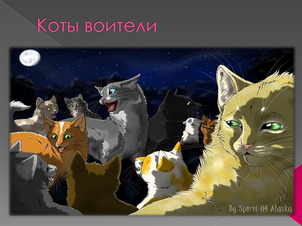 Картина по номерам коты воители