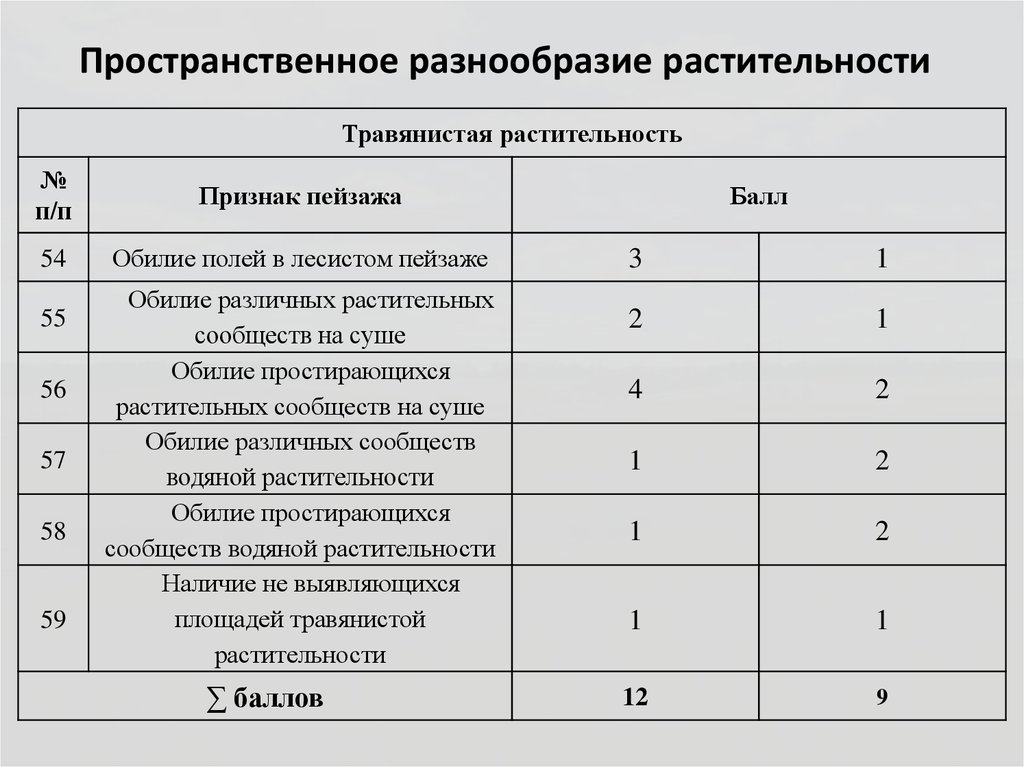Пространственное разнообразие растительности