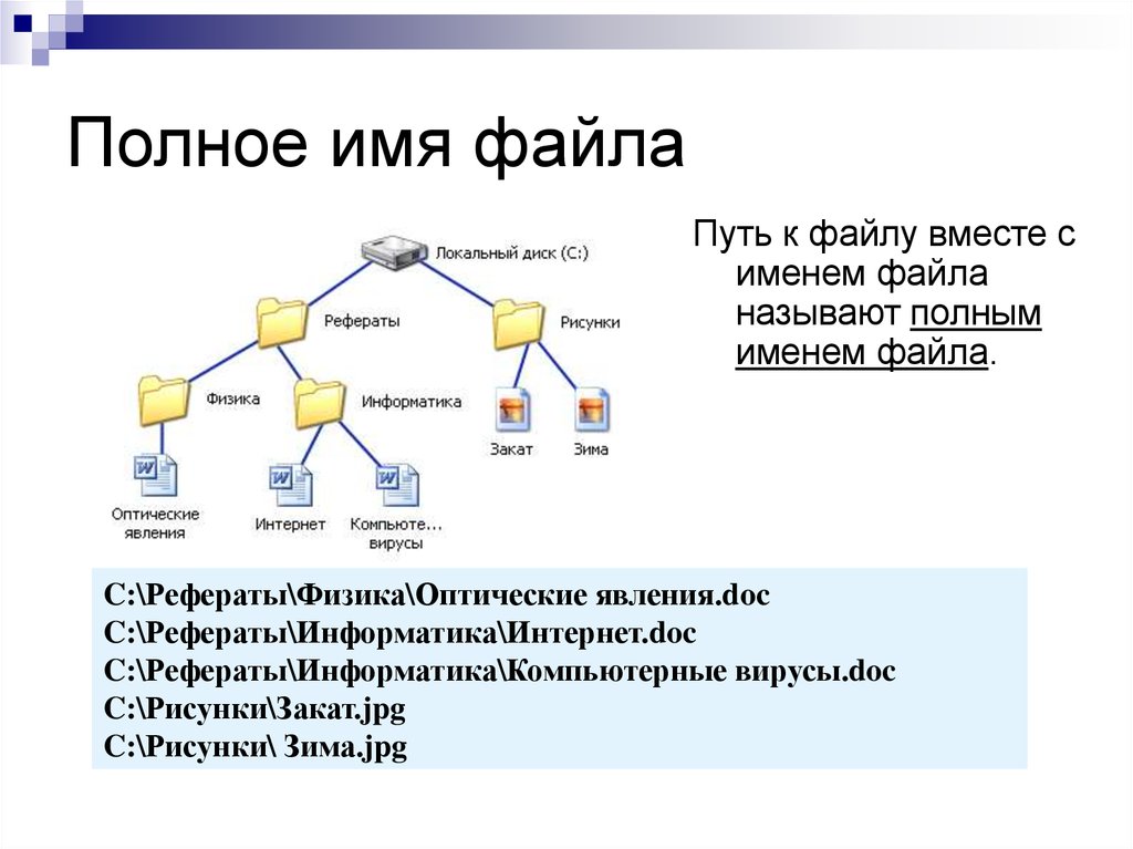 Из чего состоит файл