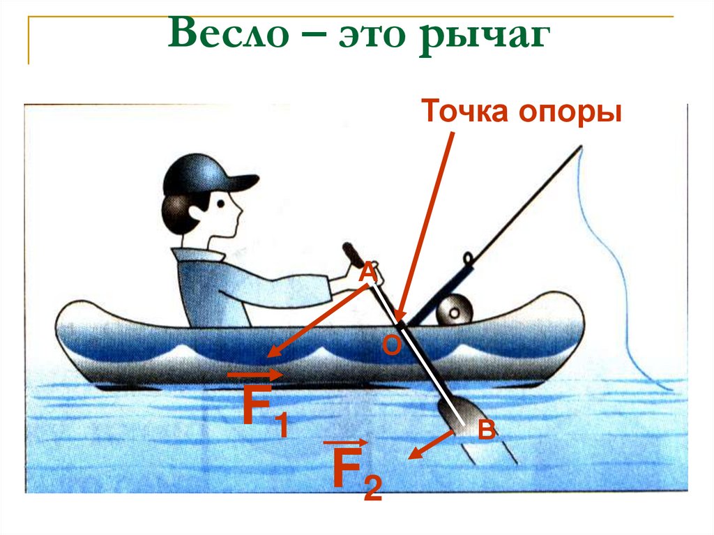 Рычаги в природе физика 7 класс презентация