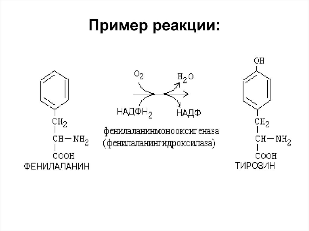 Реакция с участием. Реакции с участием витамина PP. Реакции с ферментами примеры. Ферменты (примеры реакций с ФАФС, УДФГК).. Пример реакции витамина PP.