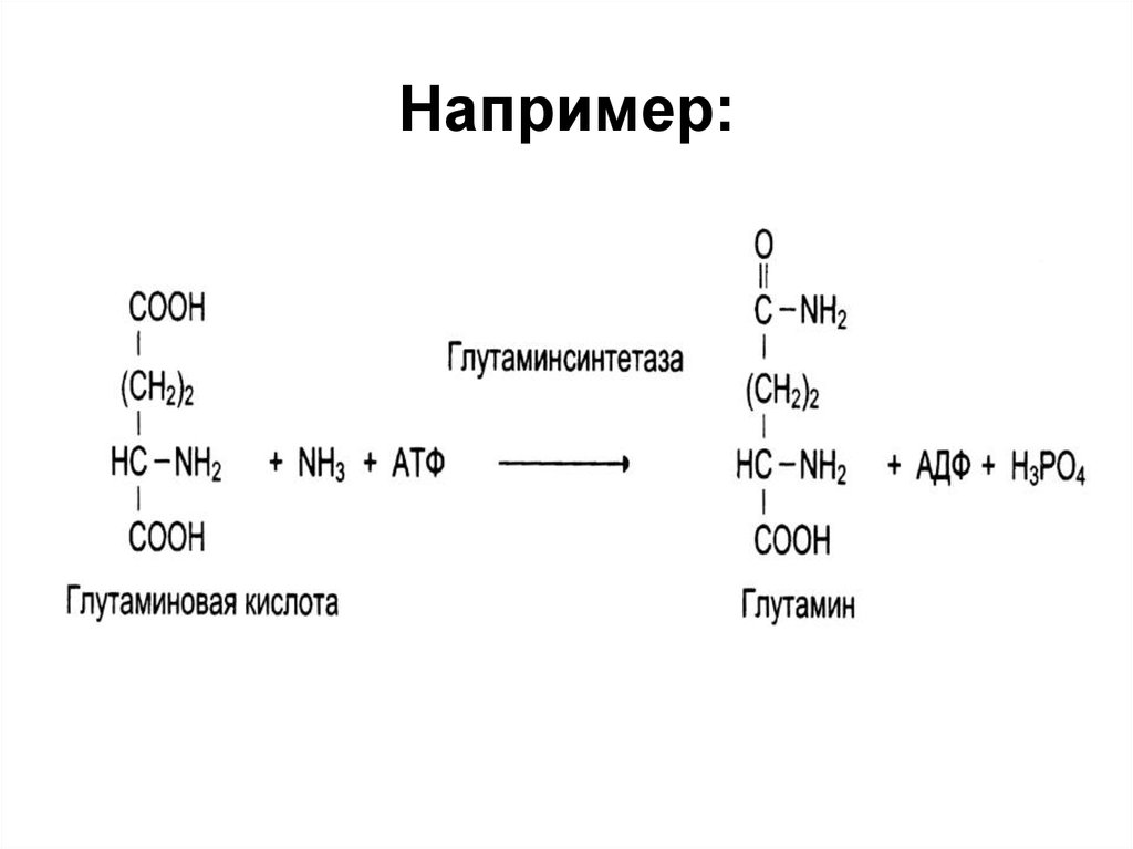 Глутаминовая кислота. Глутаминовая кислота по номенклатуре. Глутаминовая кислота номенклатура. Глутамин глутамат глутаминовая кислота. Глутамин из глутаминовой кислоты.