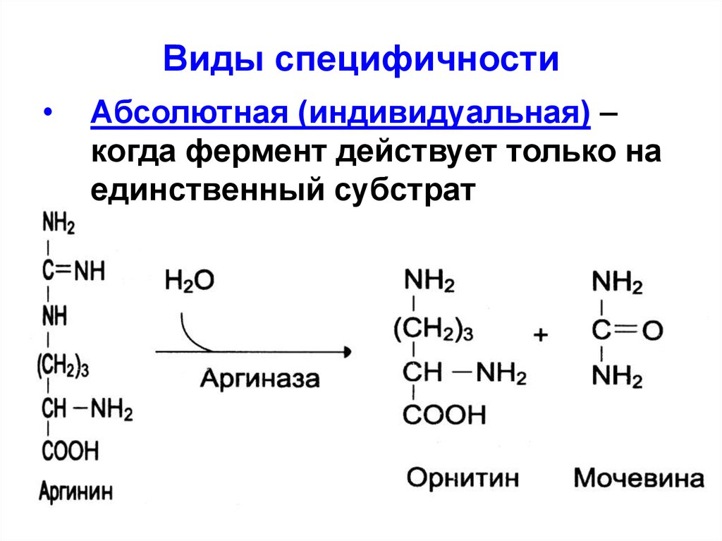 Специфичность субстрата