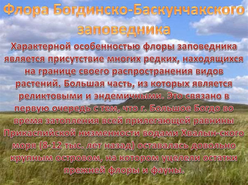 Богдинско баскунчакский заповедник где