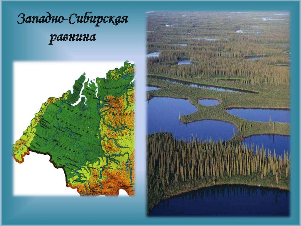 Главная особенность рельефа западно сибирской равнины