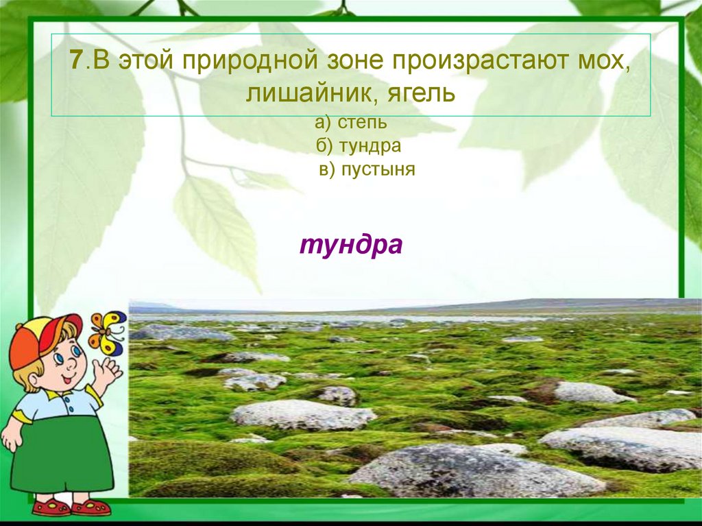 Эту природную зону можно. Загадки про природные зоны. Викторина природные зоны. Мхи в какой природной зоне. Викторина по природным зонам.