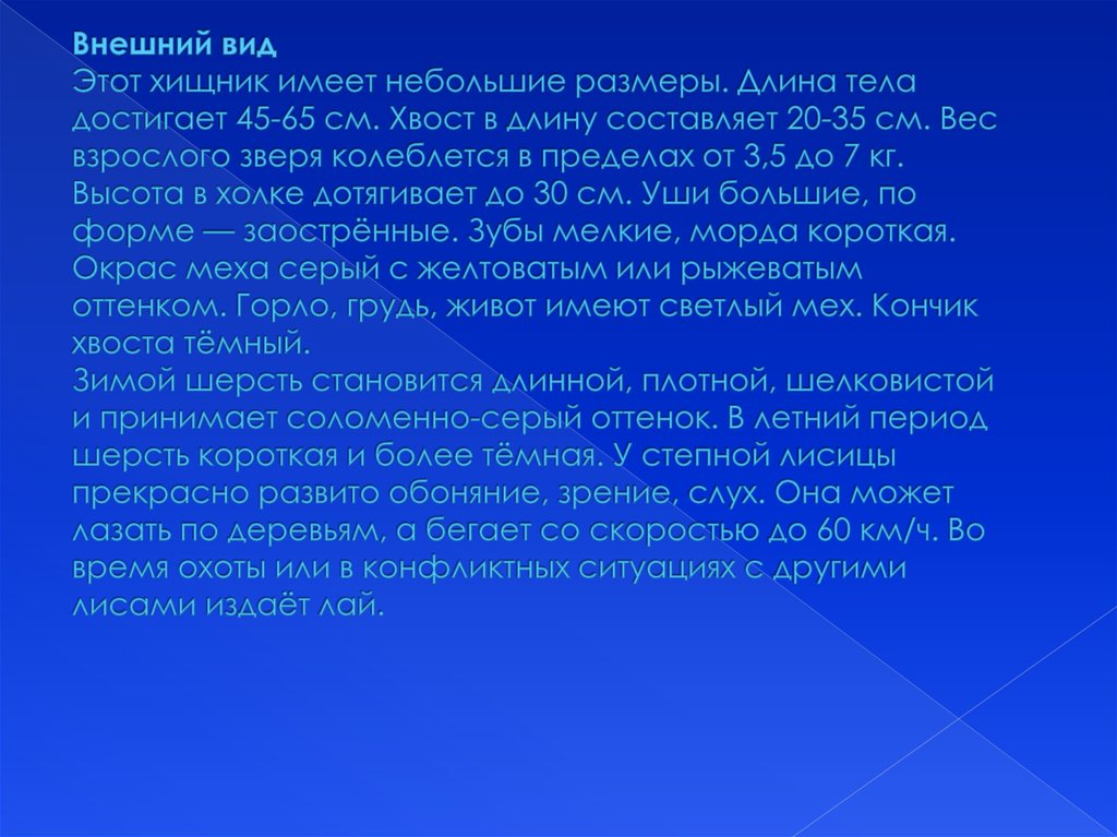 Внешний вид Этот хищник имеет небольшие размеры. Длина тела достигает 45-65 см. Хвост в длину составляет 20-35 см. Вес