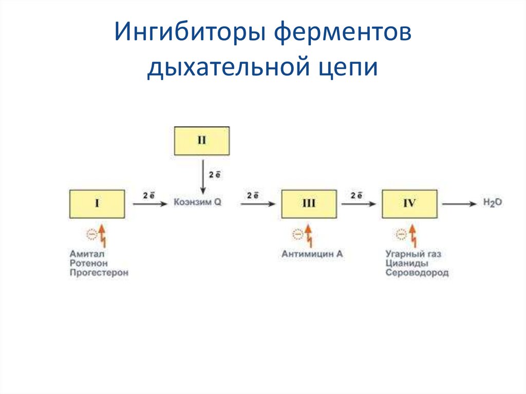 Схема цпэ для изоцитрата