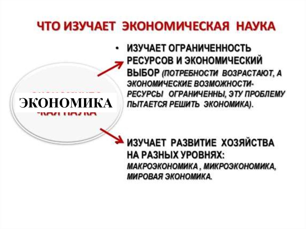 Экономика наука и хозяйство презентация 11 класс