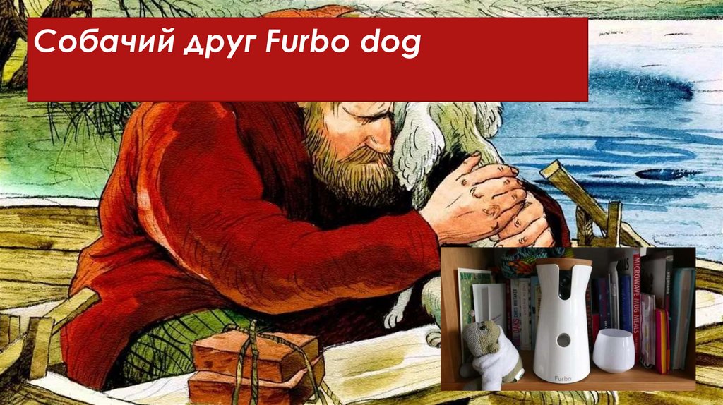 Собачий друг Furbo dog