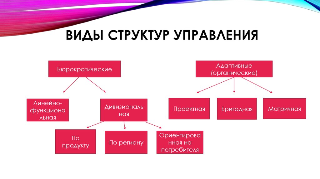 Типы структур управления. Типы организационных структур управления. Адаптивные типы структур управления. Линейная адаптивная организационная структура. Типы структур управления организацией.