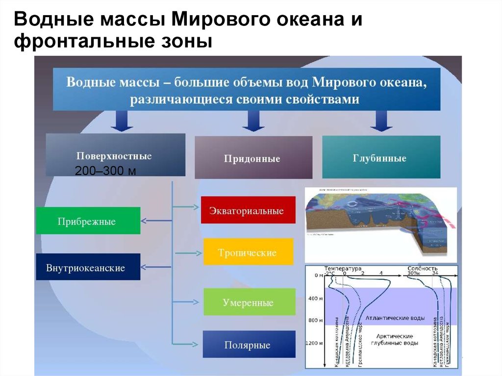 Назовите виды океанических. Водные массы мирового океана. Водные массы схема. Основные виды водных масс. Поверхностные водные массы.