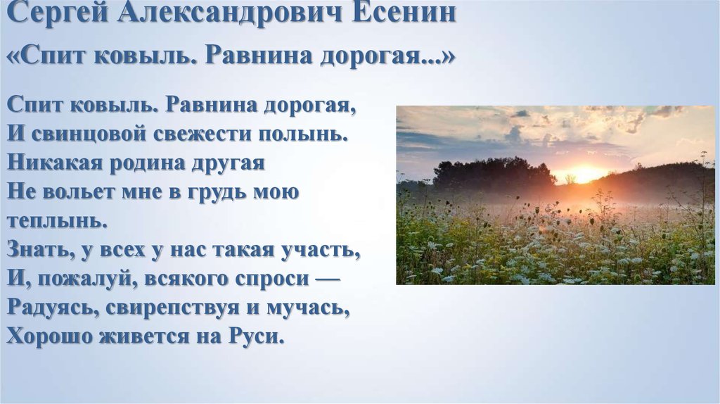 Ковыль стихотворение есенина