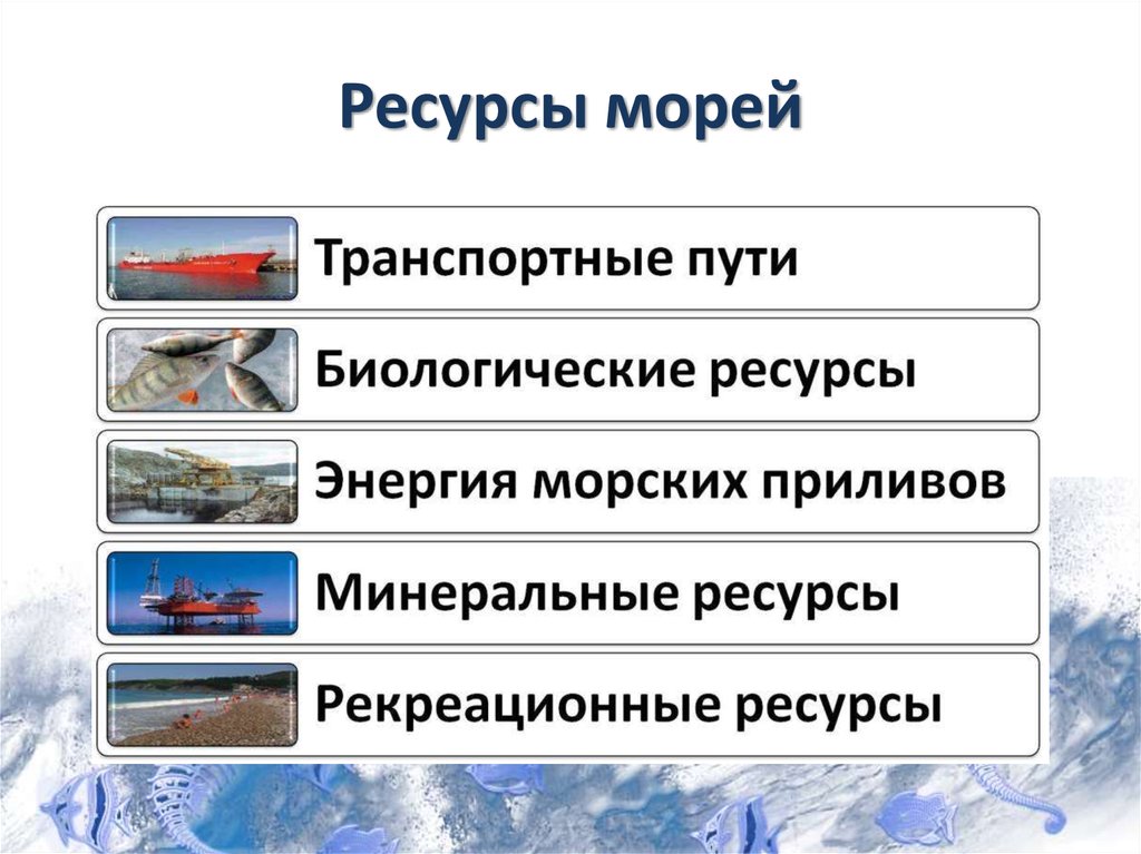 География 8 класс ресурсы. Ресурсы морей. Ресурсы морей России. Биологические ресурсы морей. Ресурсы морей презентация.