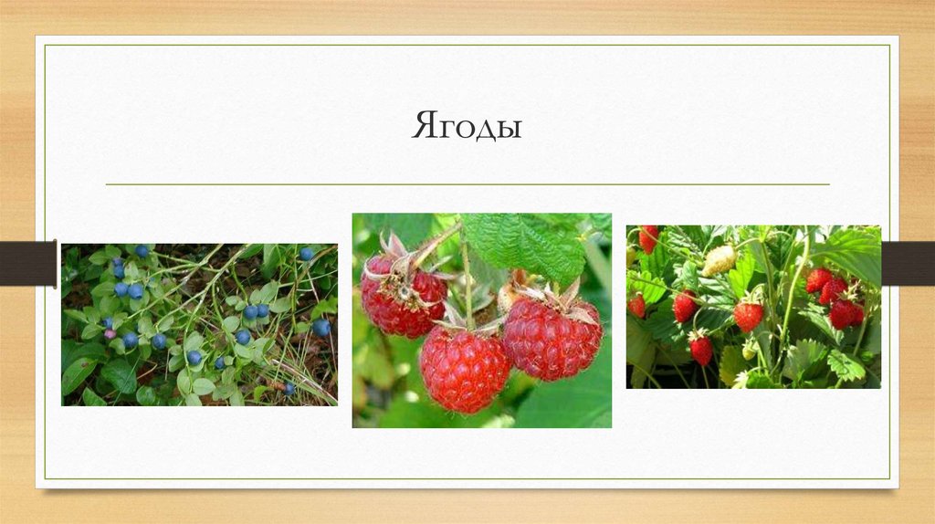 Ягоды