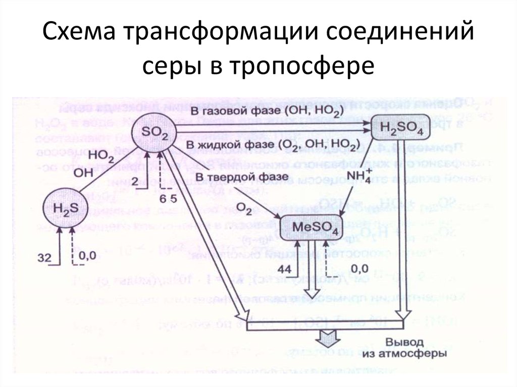 Проверочная работа соединения серы