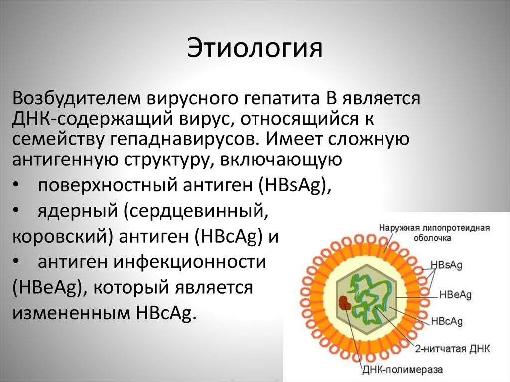 Вирусный гепатит характеристика