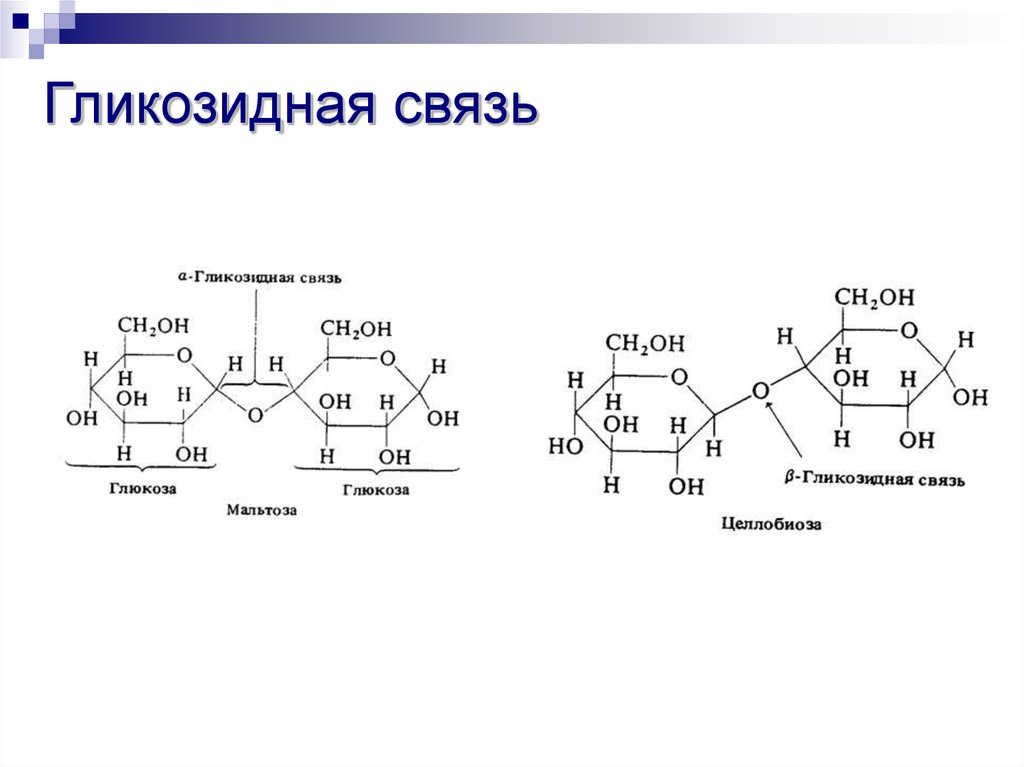 Схема образования целлобиозы