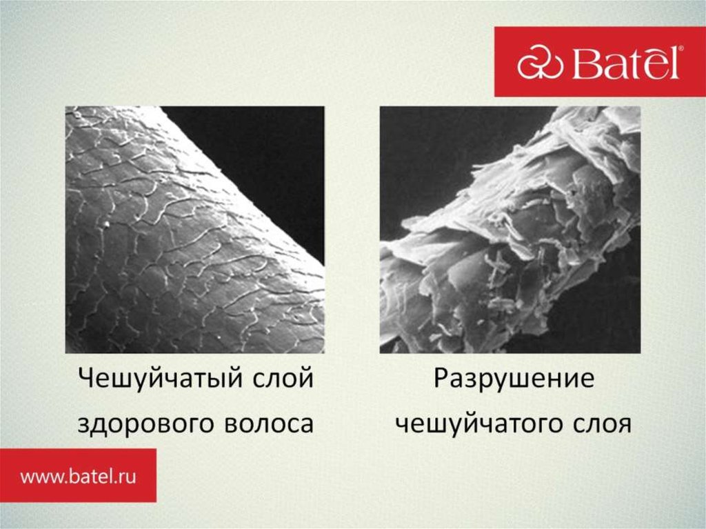 Проект сила и блеск здоровых волос