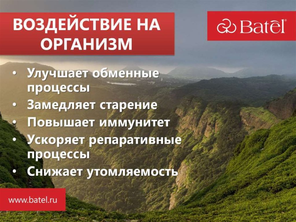 ВОЗДЕЙСТВИЕ НА ОРГАНИЗМ