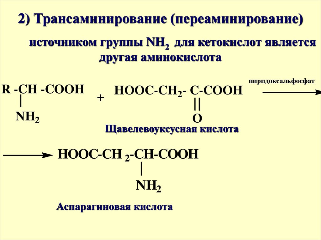 Какими свойствами обладают аминокислоты напишите уравнения