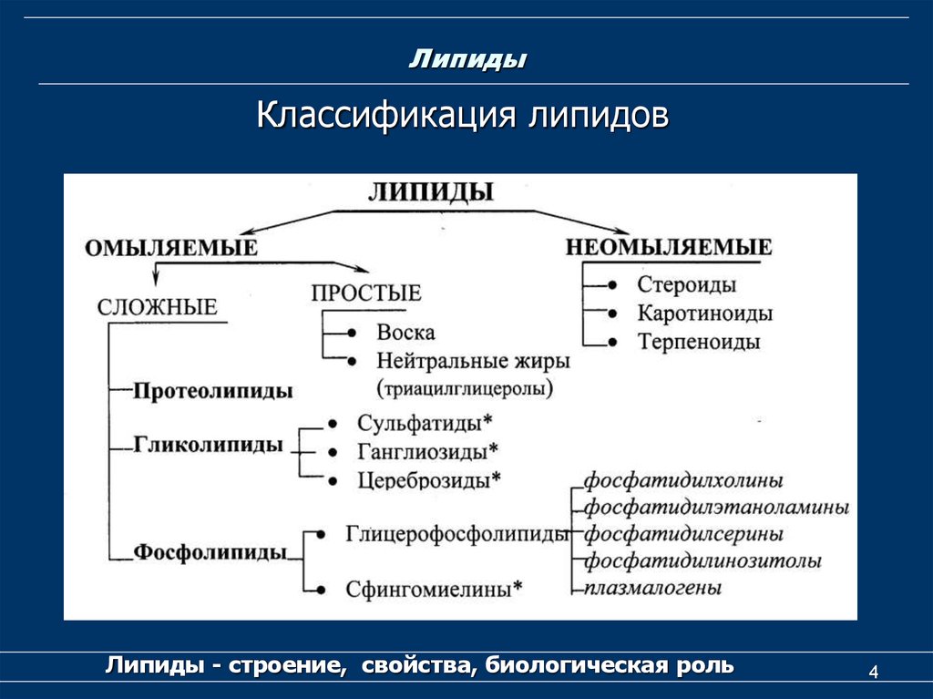 Липиды биохимия лекция презентация