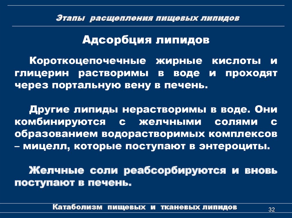 Этапы расщепления. Этапы расщепления липидов. Протеолиз этапы. Заключительная стадия расщепления липидов. Первый этап расщепление липидов.