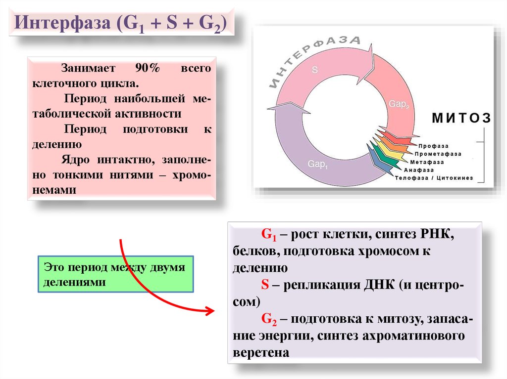 Начальное и конечное значение цикла