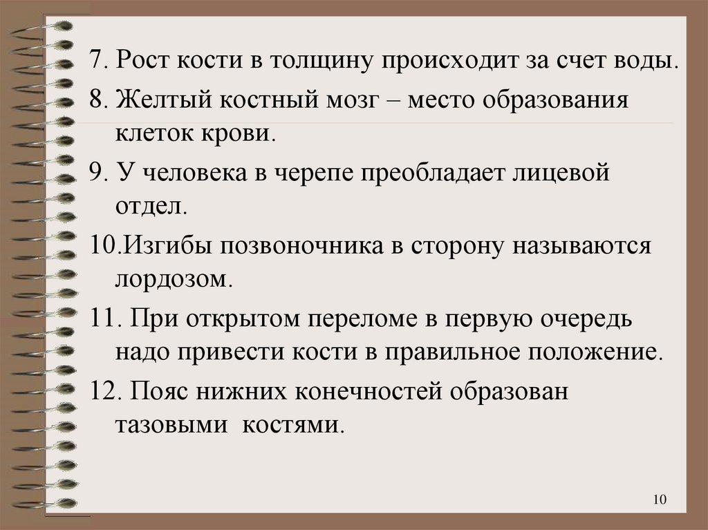 Рост кости в толщину происходит за счет