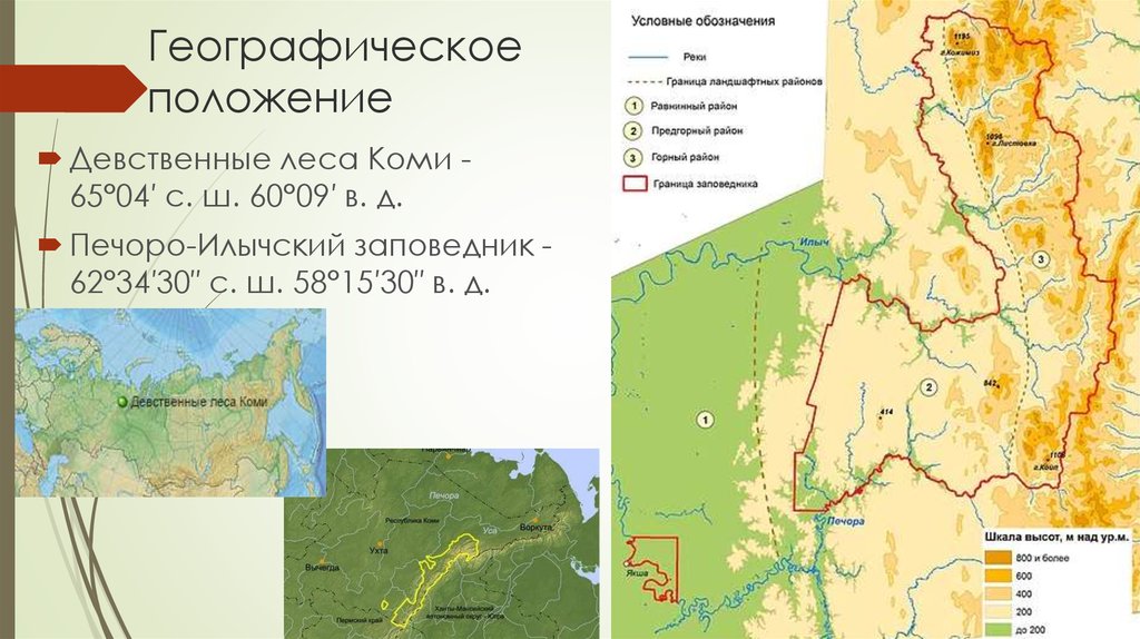 Печоро илычский заповедник работа. Печоро-Илычский заповедник на карте. Печоро-Илычский заповедник границы на карте. Печоро-Илычский заповедник на карте Республики Коми. Печоро-Илычский заповедник на карте России.