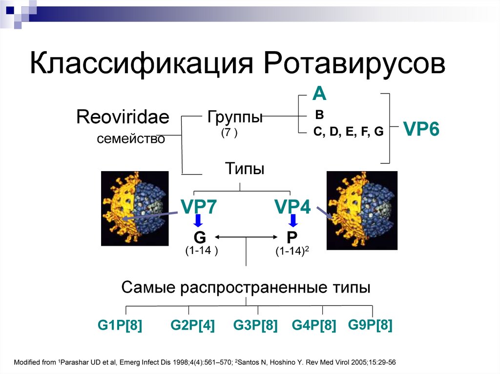 Классификация Ротавирусов
