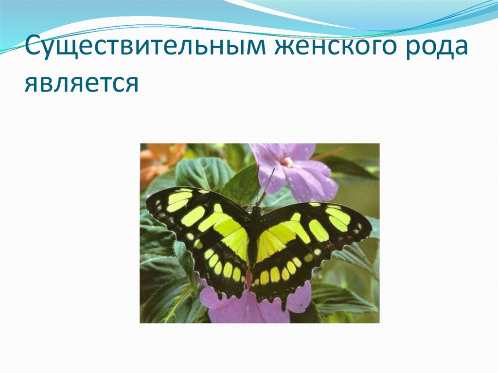 Рода является