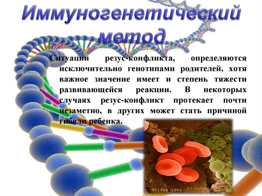 Методы изучения наследственности и изменчивости человека в норме и патологии презентация