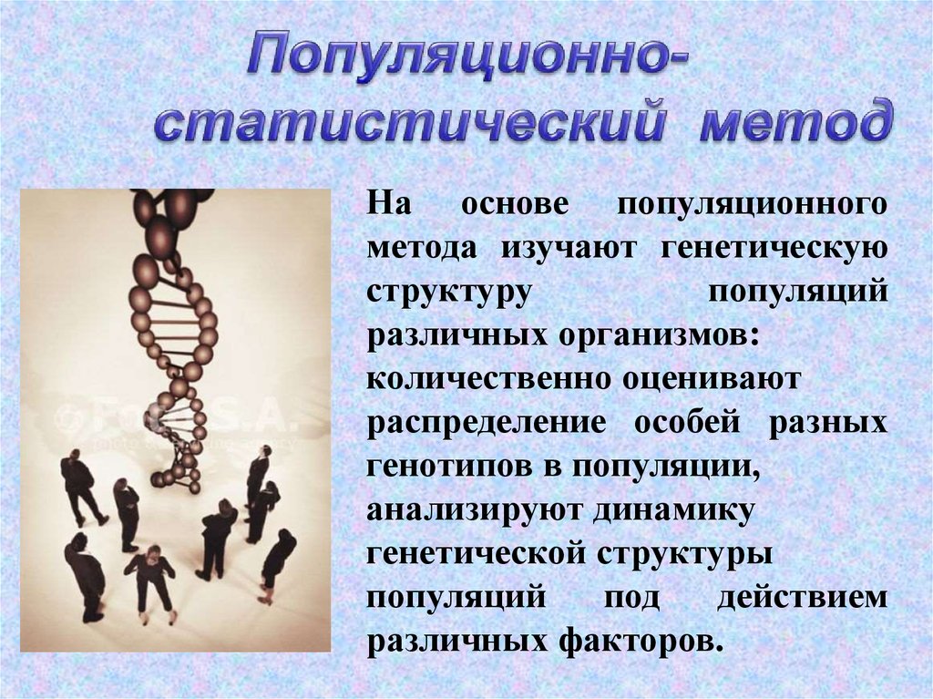 Методы генетики человека презентация