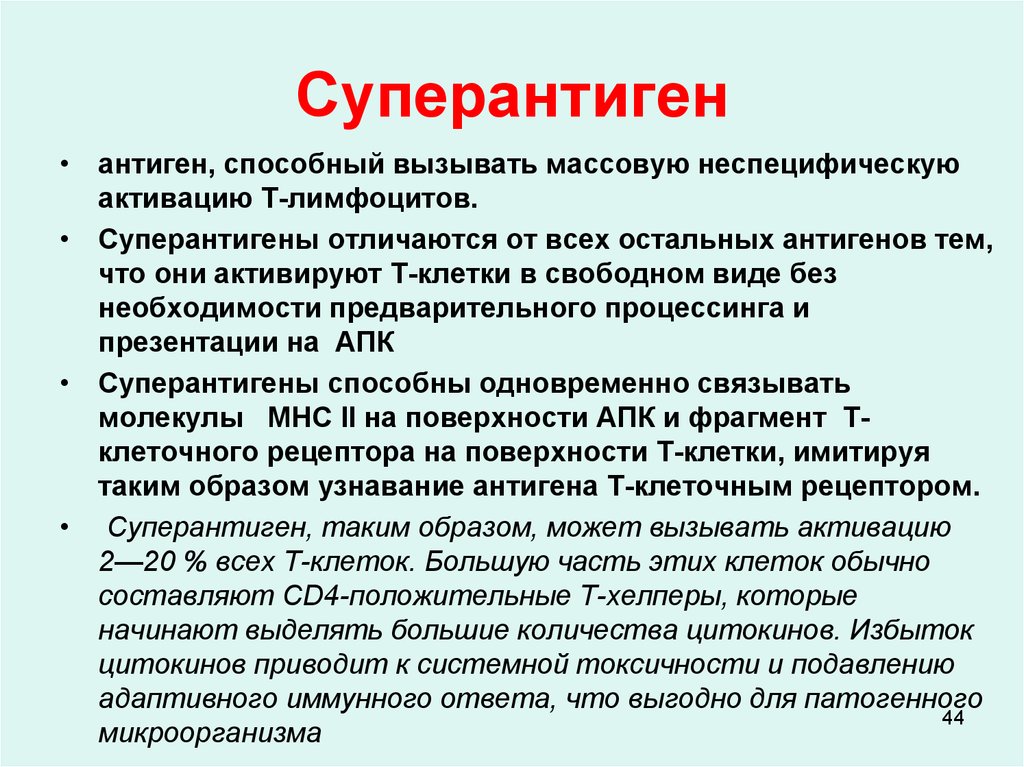 Антиген это. Суперантигены иммунология. Суперантиген механизм действия. Суперантигены это микробиология. Суперантигены микроорганизмов.