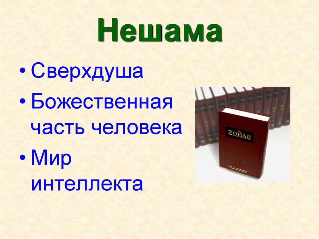 Принцип веры. Принципы веры. Нешама. Нешама состоит из 3 частей. Неран нешама.