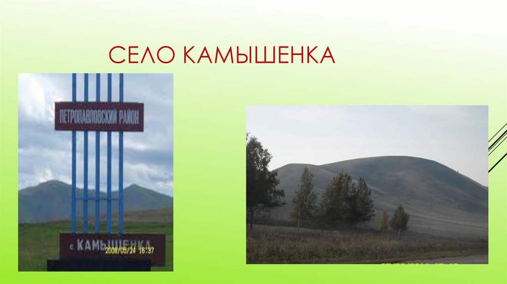 Камышенка алтайский край