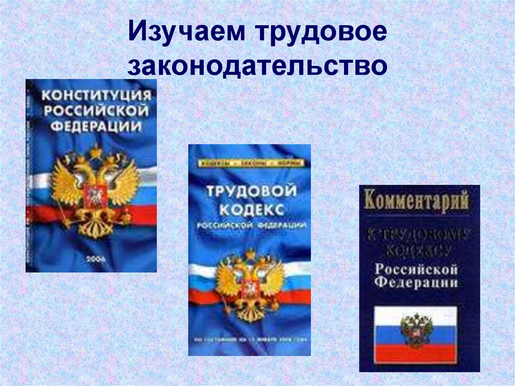 Презентация виды преступлений 11 класс право никитин