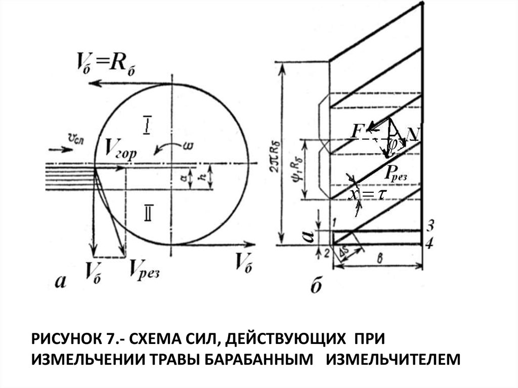 Рисунок 7.- Схема сил, действующих при измельчении травы барабанным измельчителем