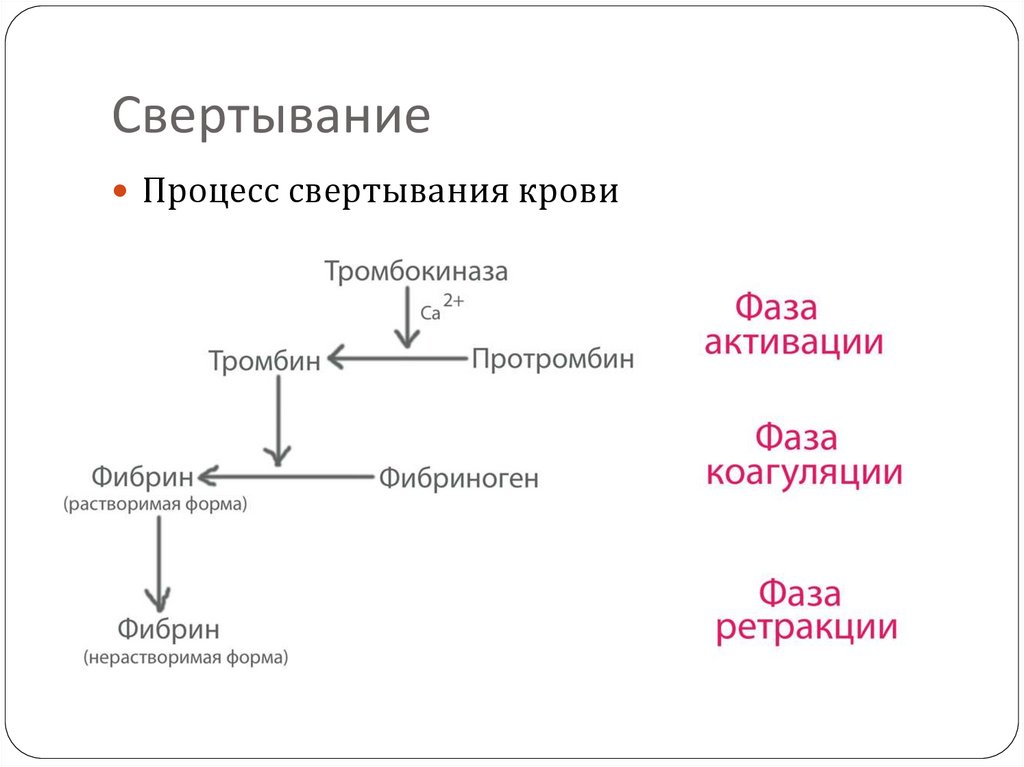 Свертывание