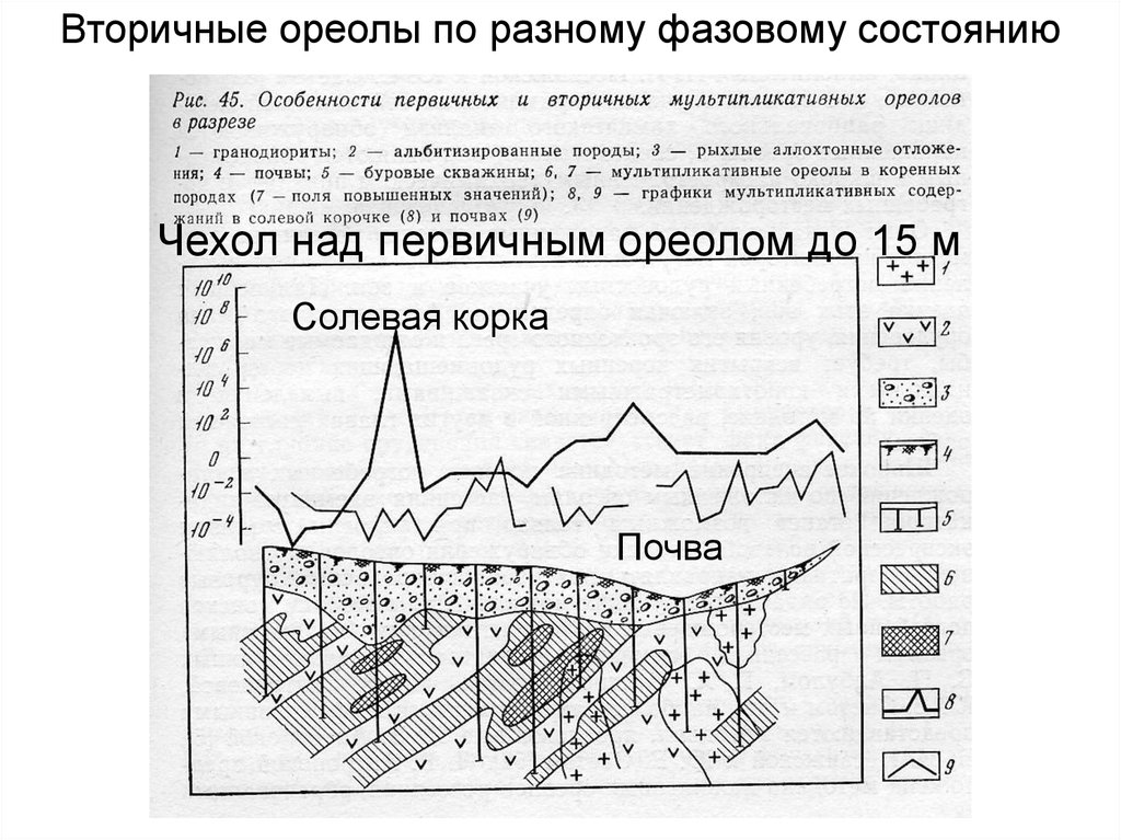 Вторичный ореол. Прикладная геохимия. Первичные ореолы рассеяния. Зональность первичных ореолов. 2. Первичный геохимический ореол.