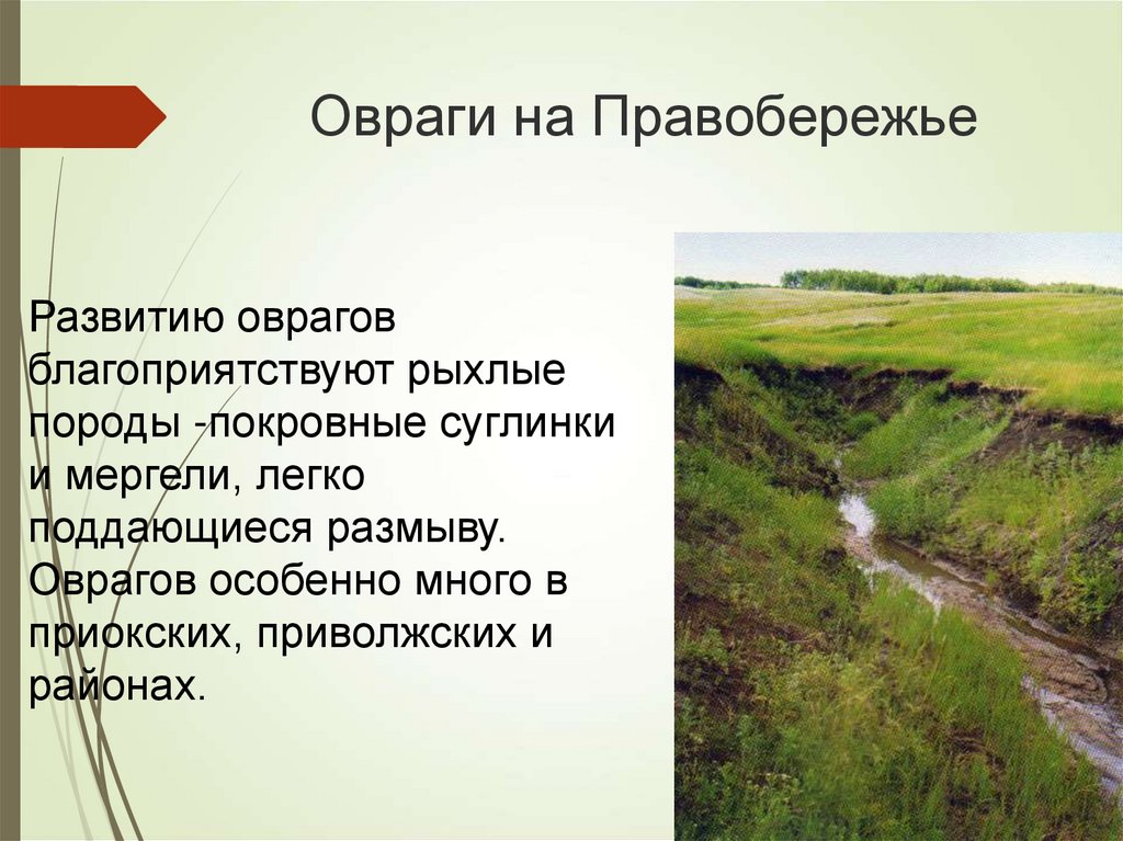 Нижегородский рельеф. Правобережье Нижегородской области. Благоприятные условия для развития оврагов.. Полезные ископаемые в оврагах. Механизм формирования оврага.