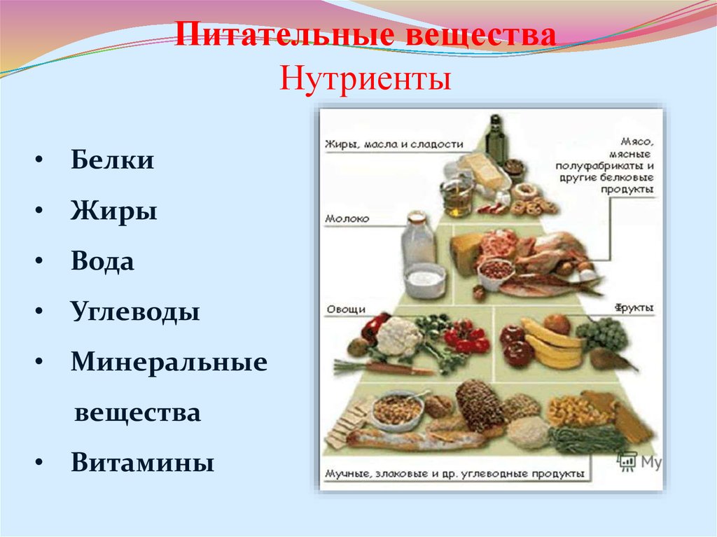 Типы пищевых веществ