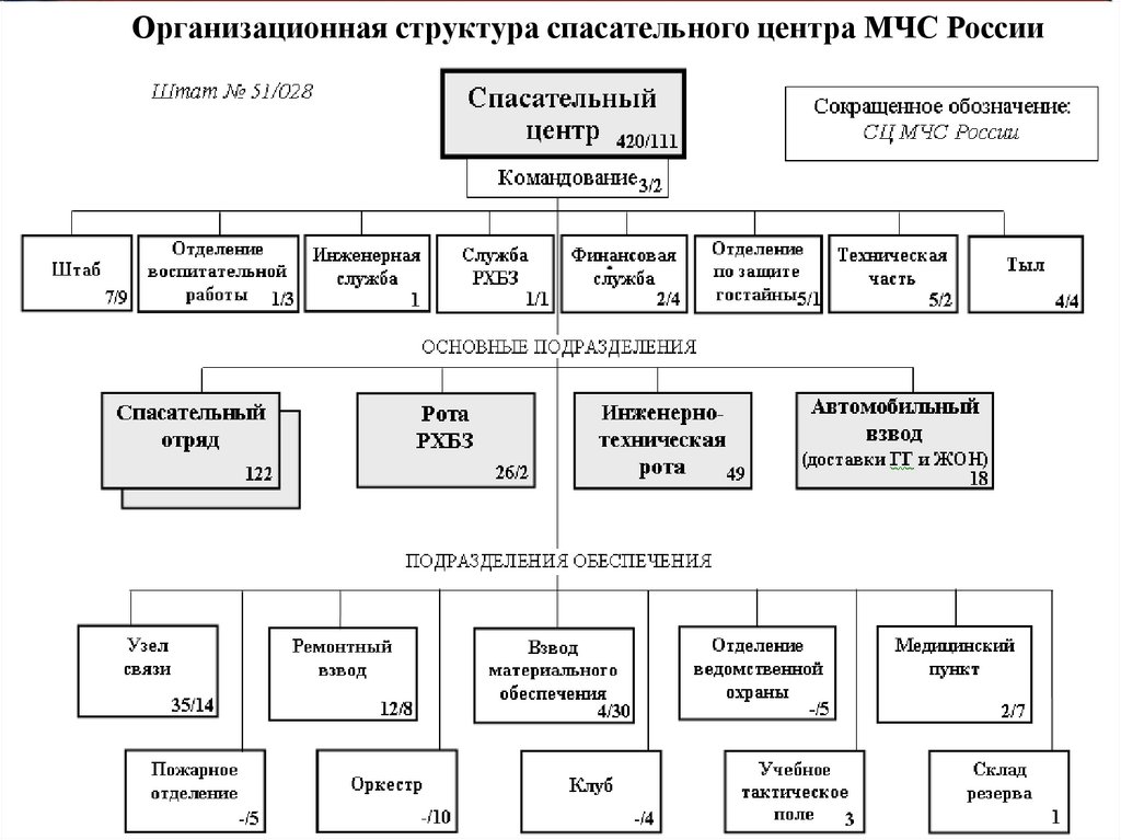 Организационно штатная структура в виде схемы